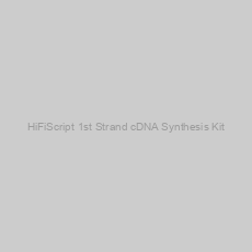 Image of HiFiScript 1st Strand cDNA Synthesis Kit